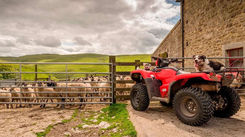 farm insurance