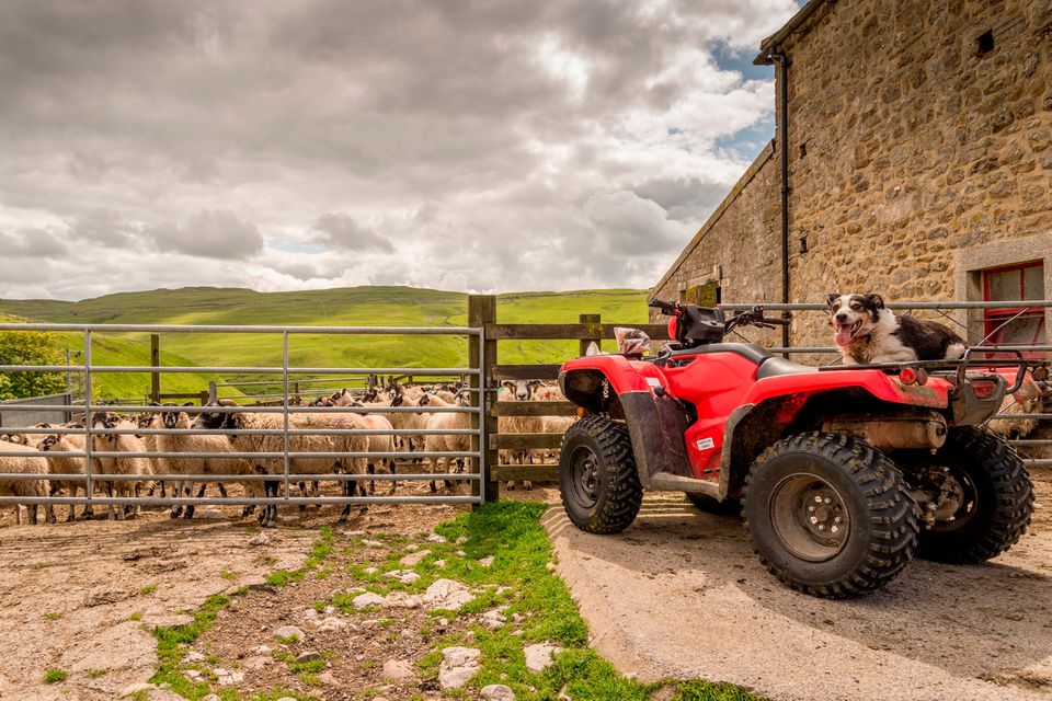 farm insurance